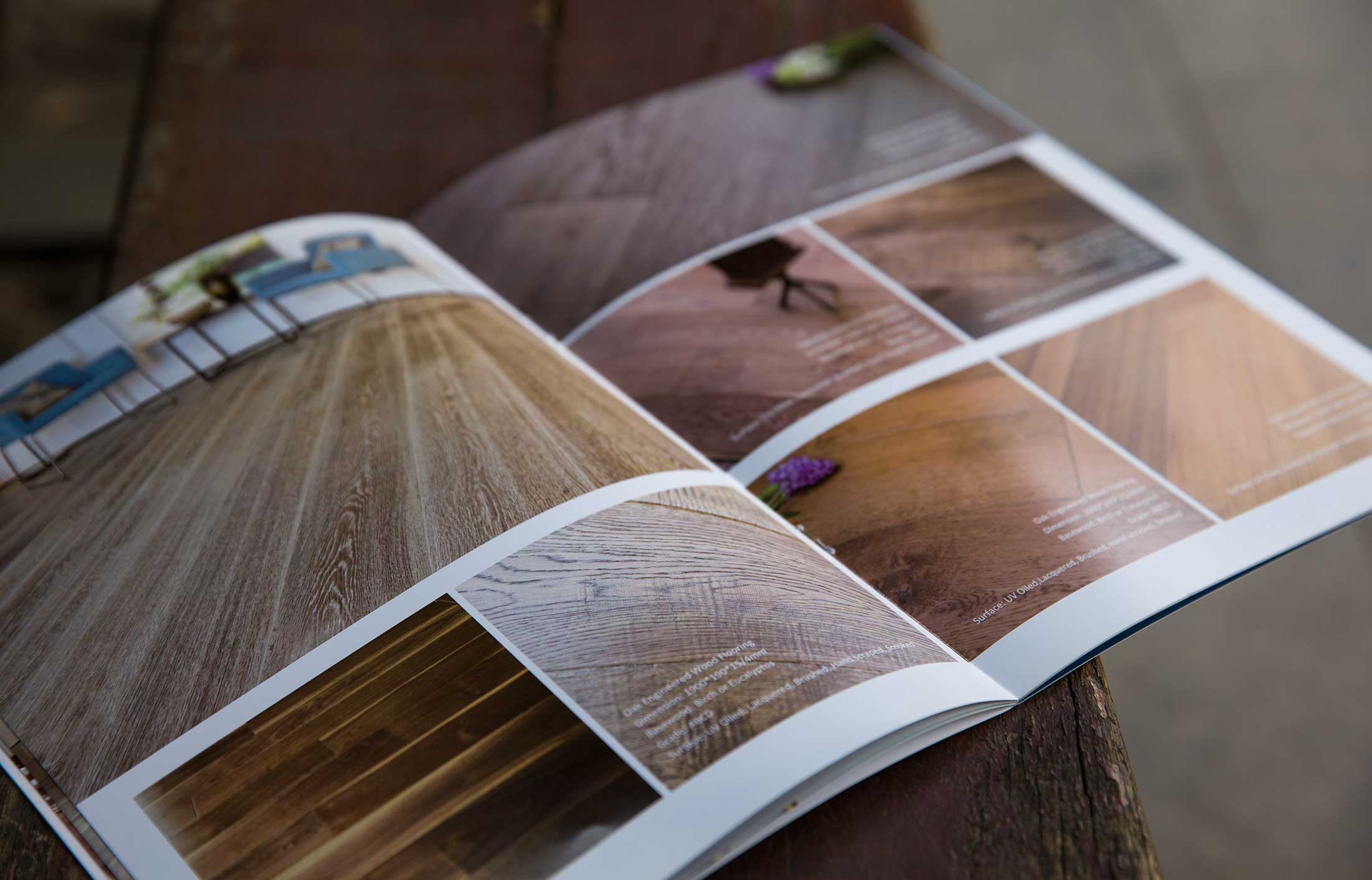 公司宣傳冊(cè)樣本設(shè)計(jì)編輯什么內(nèi)容合適？