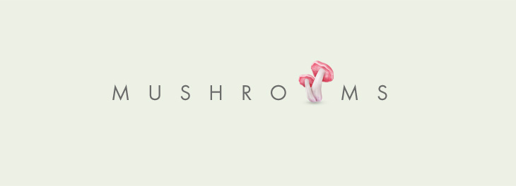 Mushrooms品牌設(shè)計(jì)